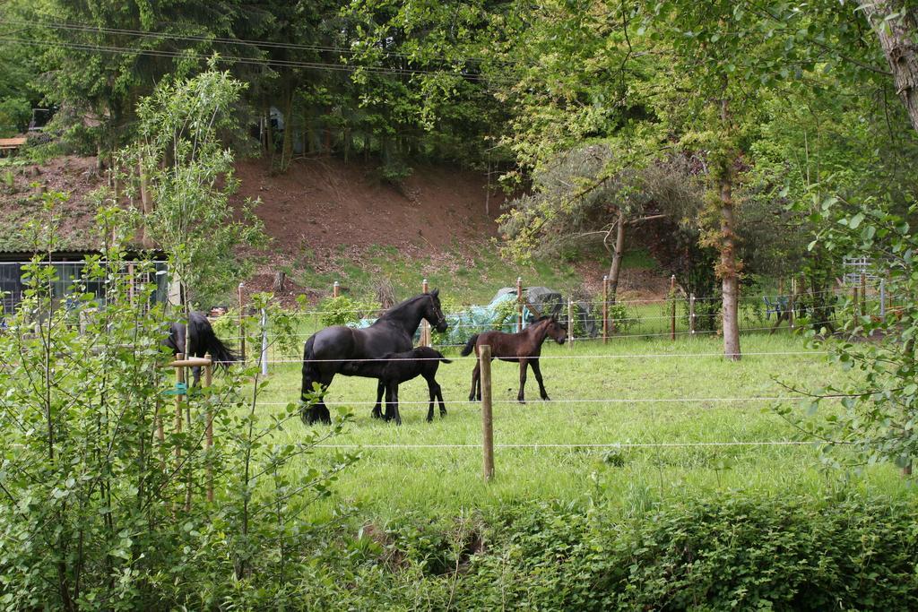 Saarlandtraum Weihermuehle Schmelz Esterno foto